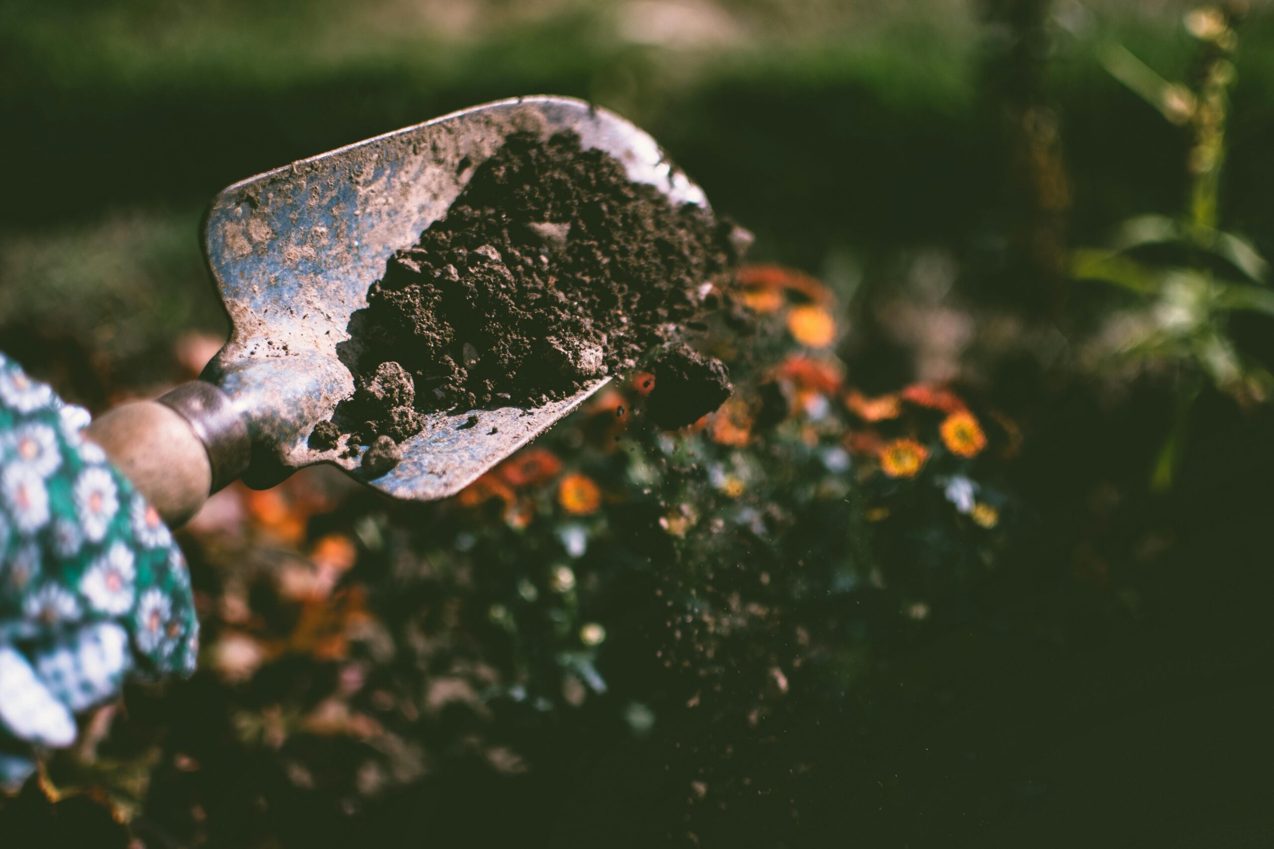 The Case for Planting a Garden: How Nurturing Plants Nurtures Your Self-Care and Personal Growth